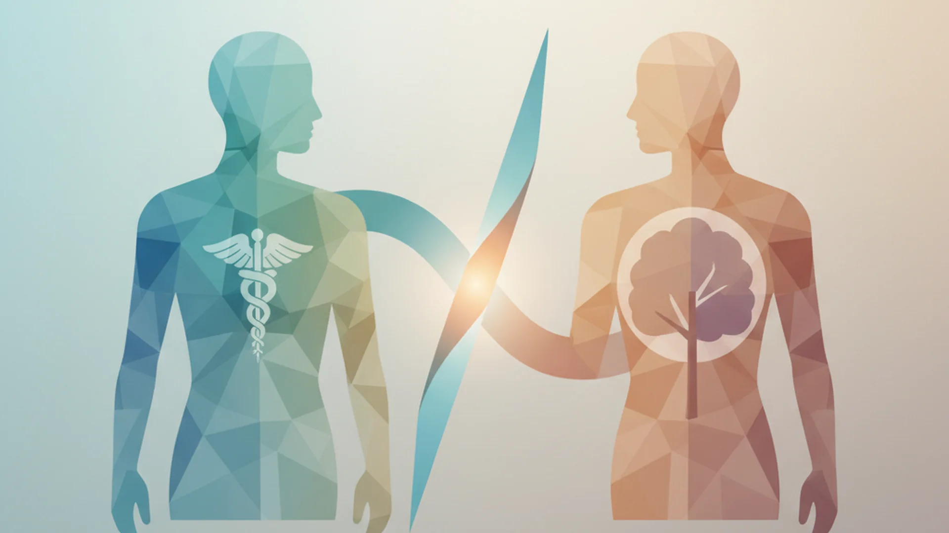 Body Donation Programs: Side-by-Side Comparison and Key Differences